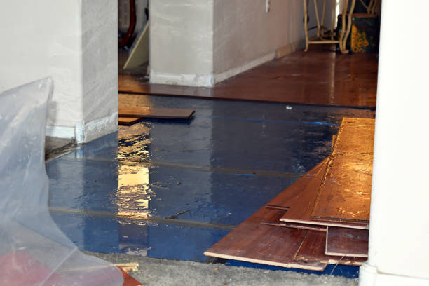 Professional Basement Water Removal technician working in Chester, PA