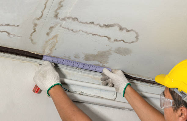 Reliable Basement Water Removal contractor in Chester, PA by Water Damage Irwin